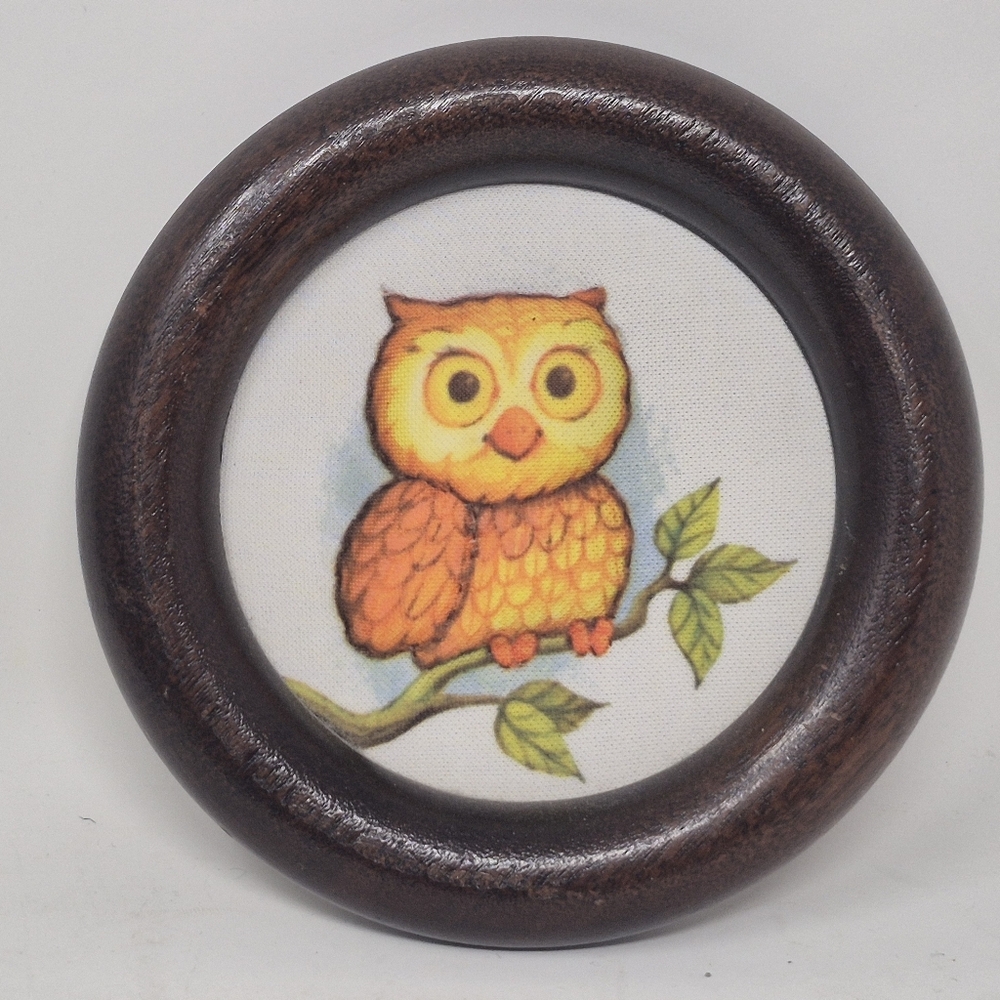 Round Owl Wall Art with Dark Frame